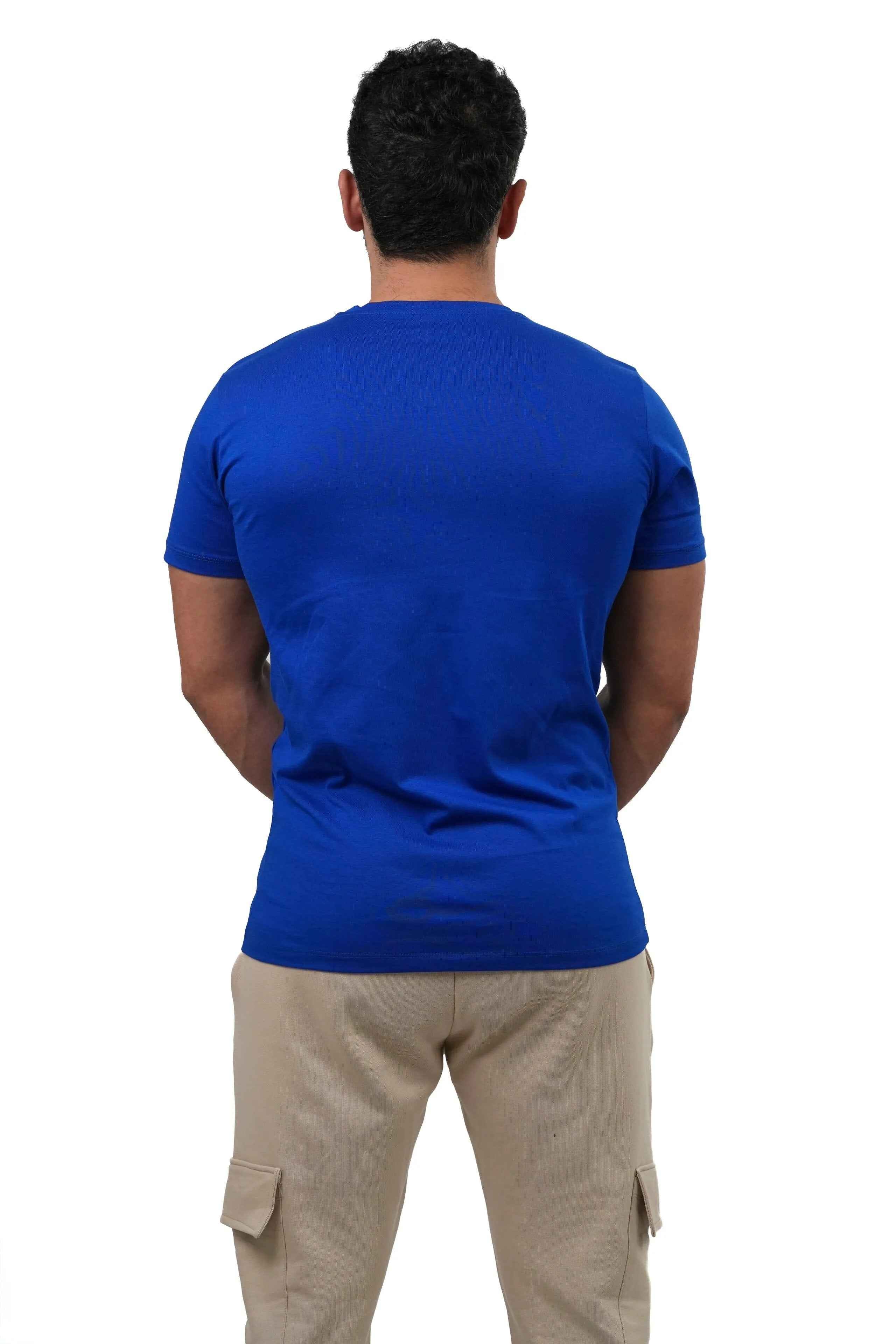 T-shirt Uomo Cotone 100% Basic 180 GSM Regular Fit – Modello LS-2103 - Lauro Sport